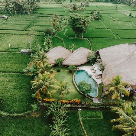 Villa Omah Padi Ubud ภายนอก รูปภาพ