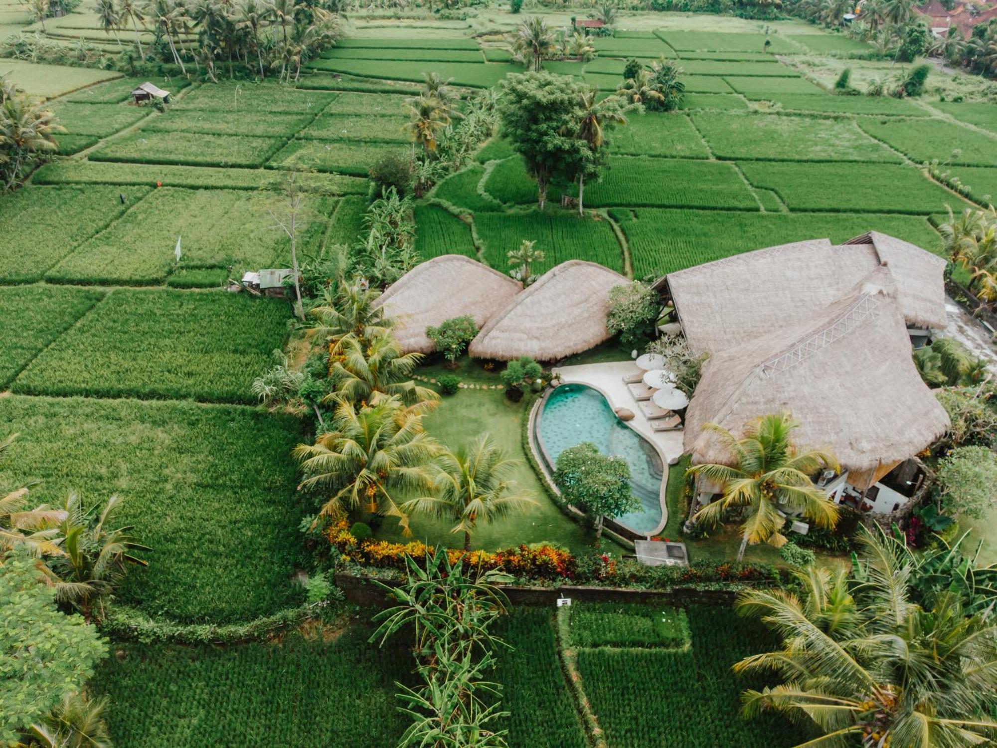 Villa Omah Padi Ubud ภายนอก รูปภาพ