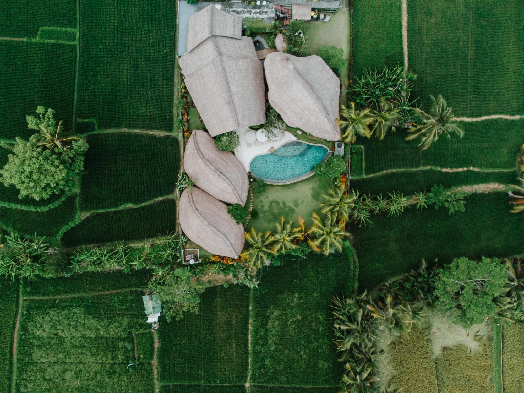 Villa Omah Padi Ubud ภายนอก รูปภาพ